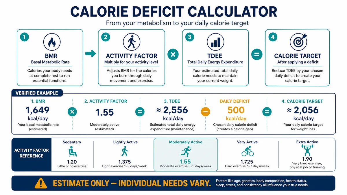 Calorie deficit calculator example showing BMR TDEE and a 500 calorie daily deficit