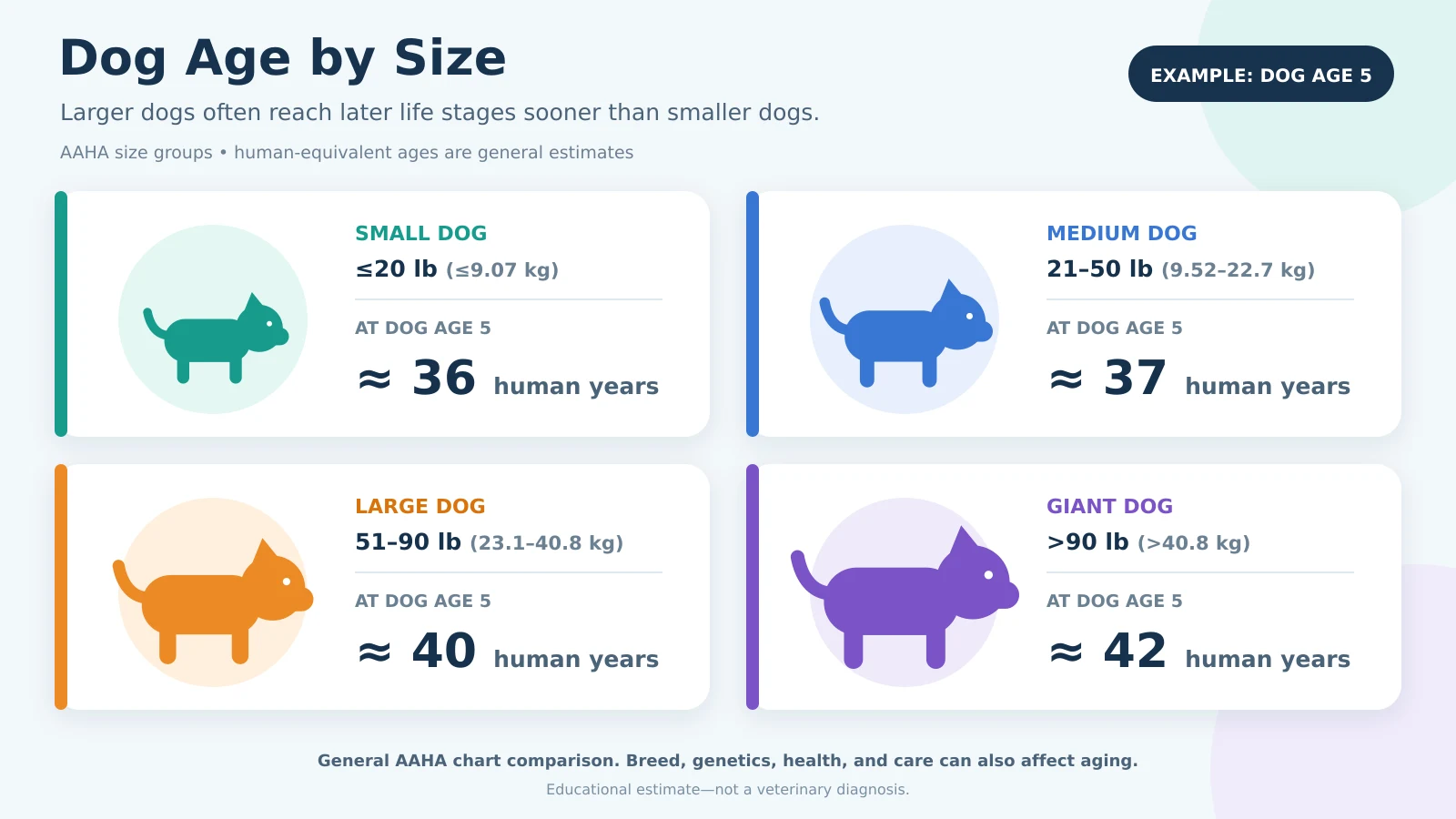 Dog Age Calculator comparison showing small, medium, large, and giant dog weight groups with human-equivalent ages at five years