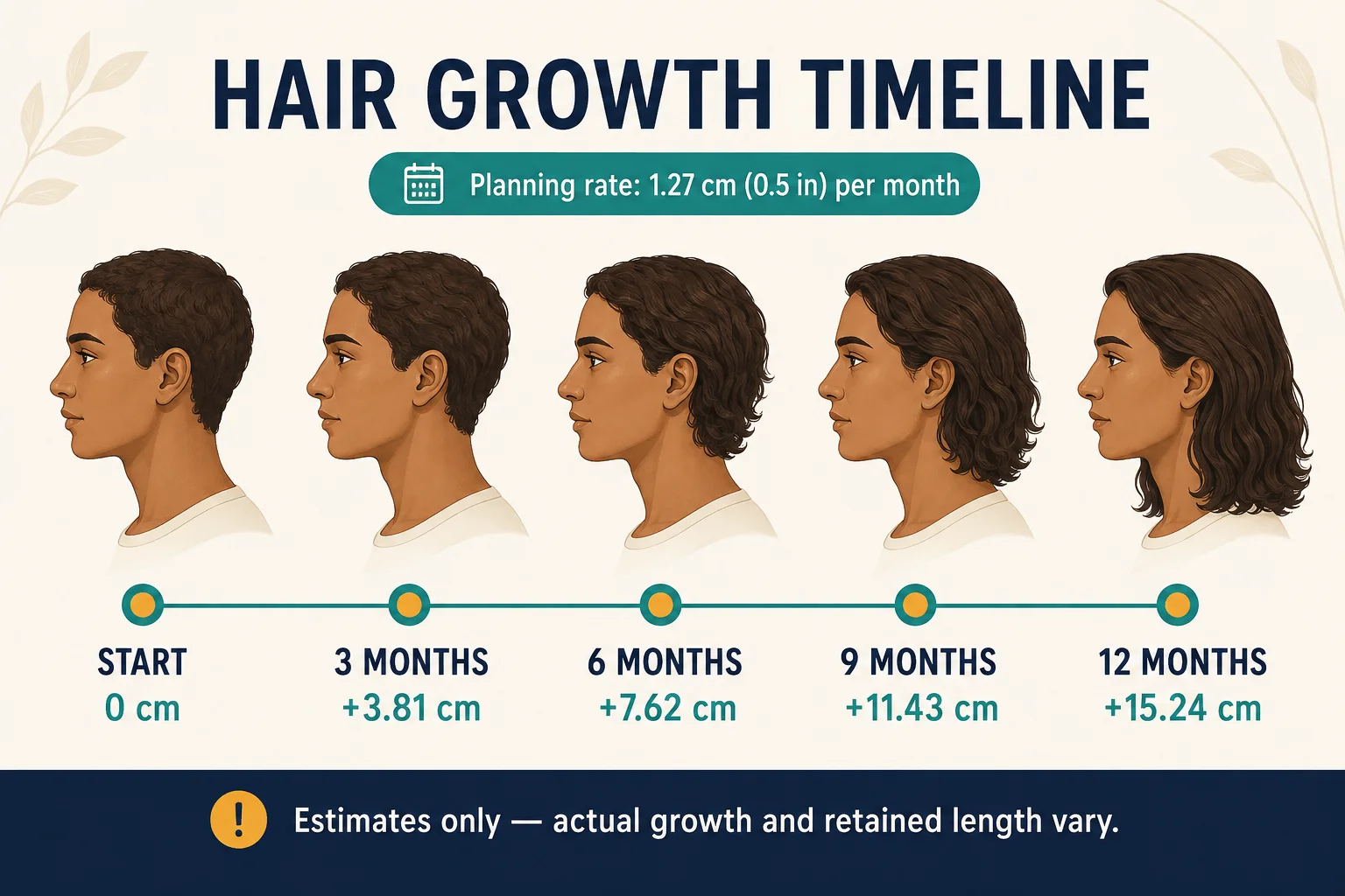 Hair growth timeline showing estimated growth of 3.81 cm at 3 months, 7.62 cm at 6 months, 11.43 cm at 9 months and 15.24 cm at 12 months